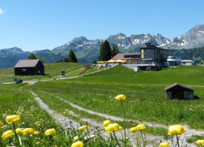 Отель Berggasthaus Oberdorf  Вильдхаус